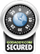 GoDaddy SSL Seal